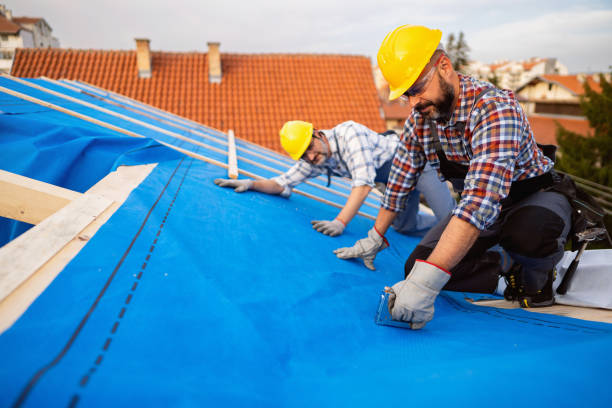 Best Gutter Installation and Roofing  in Summerde, AL